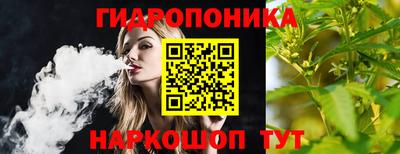 ECSTASY Шелехов