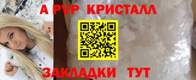 ECSTASY Шелехов