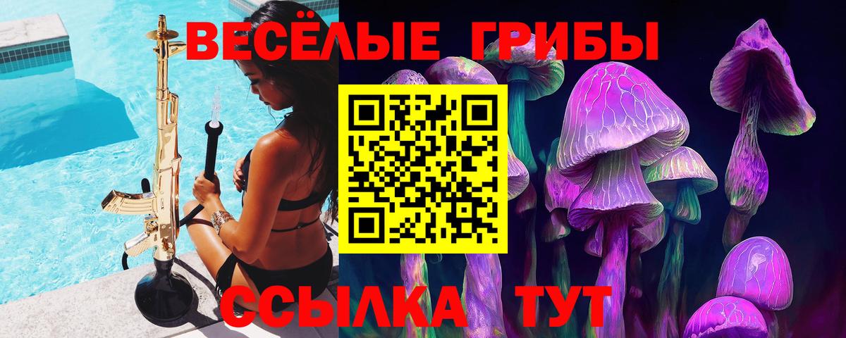 Конаково  Псилоцибиновые грибы Cubensis  Вход с VPN 