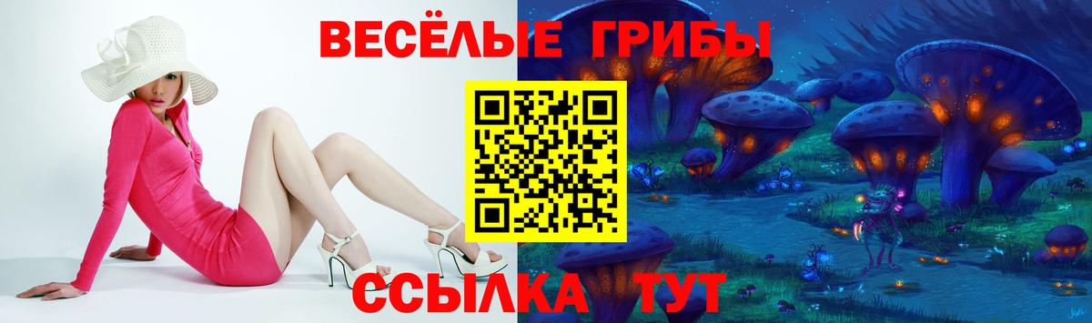 Псилоцибиновые грибы Cubensis Конаково